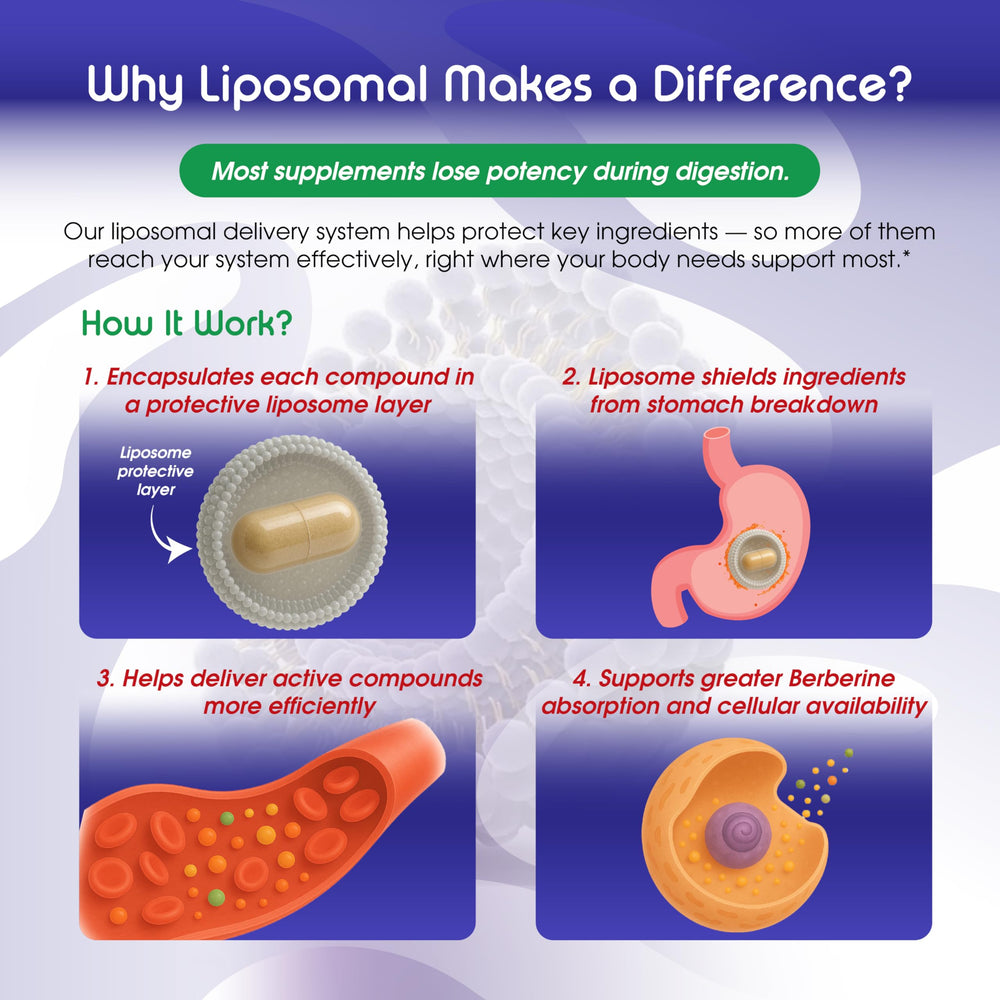 Organic ingredients used in Vital Herbal Liposomal Alpha Lipoic Acid