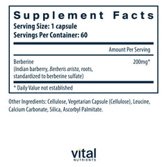 Berberine supports heart and gut health illustration