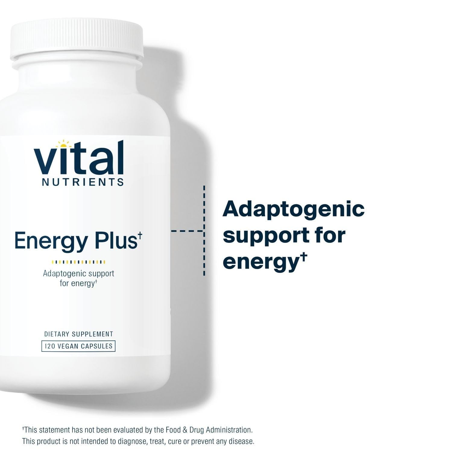 Herbal ingredients used in Energy Plus blend