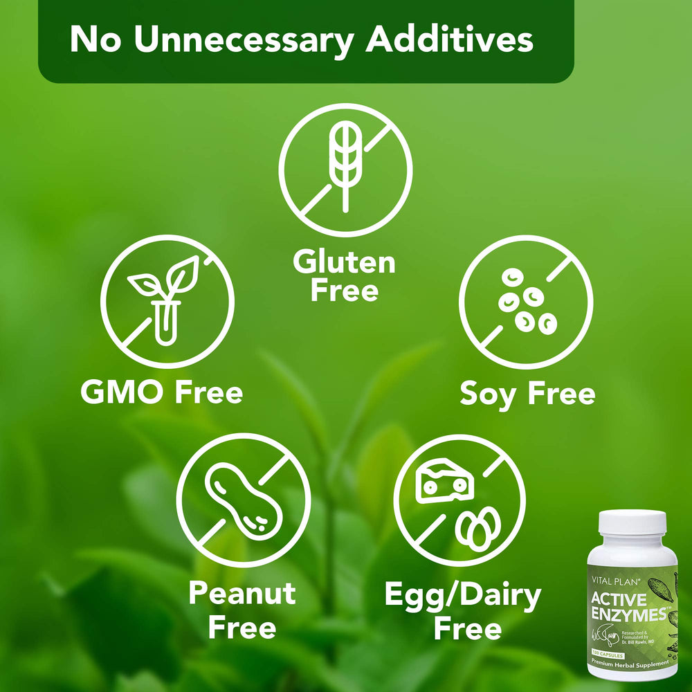 Plant-based enzyme icons on packaging: amylase, alpha-galactosidase, protease, lipase