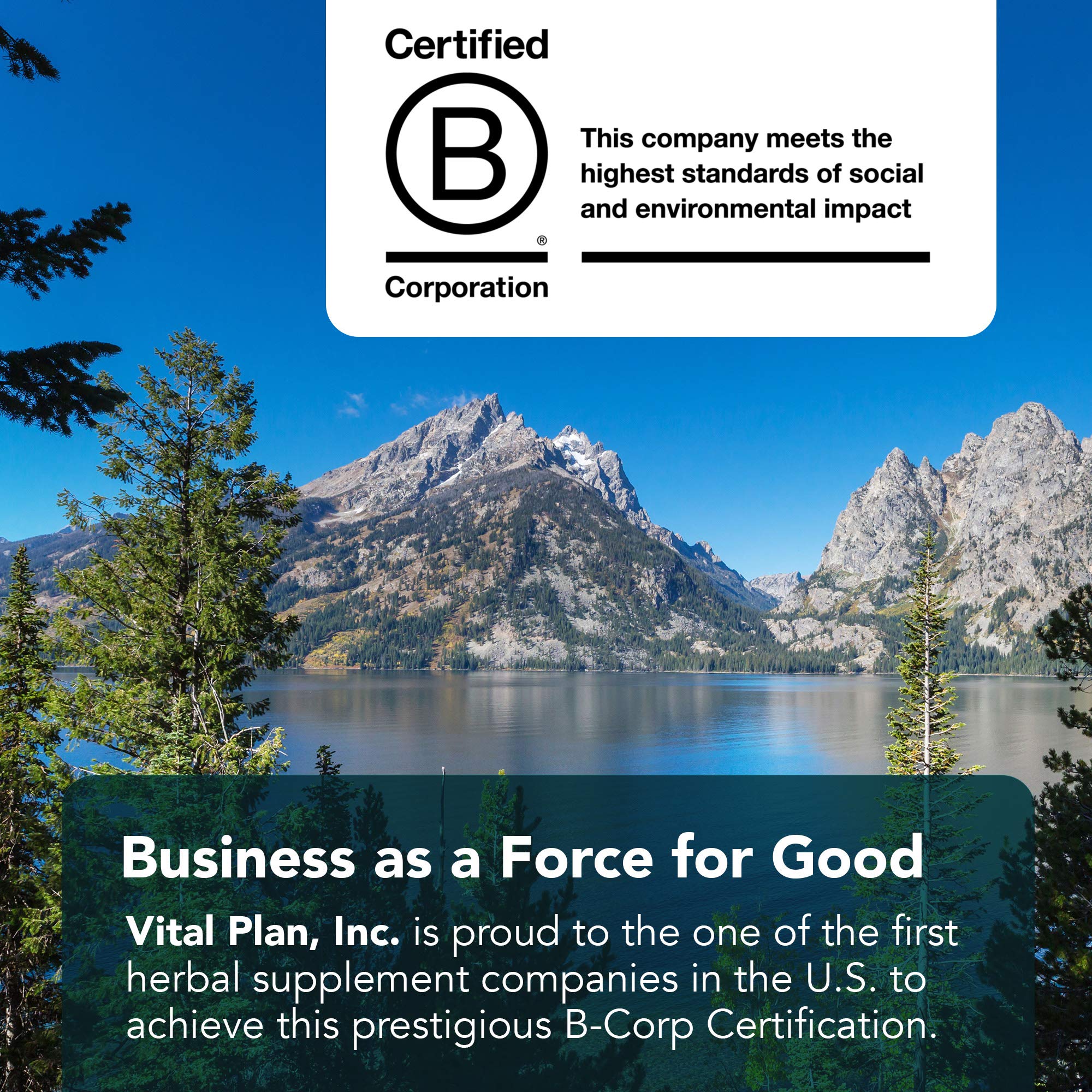 Vital Plan Active Enzymes packaging on a white background