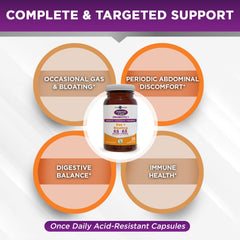 Infographic showing four biotics: probiotics, prebiotics, postbiotics, parabiotics