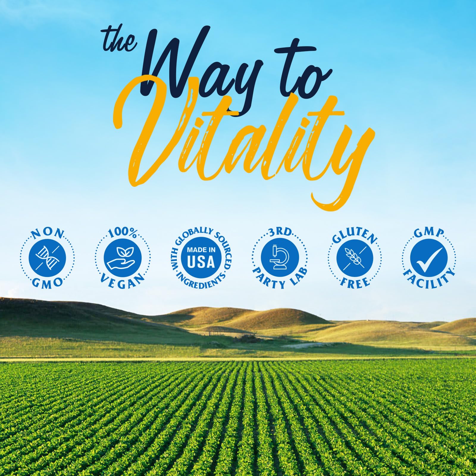 Gut health and digestion concept imagery