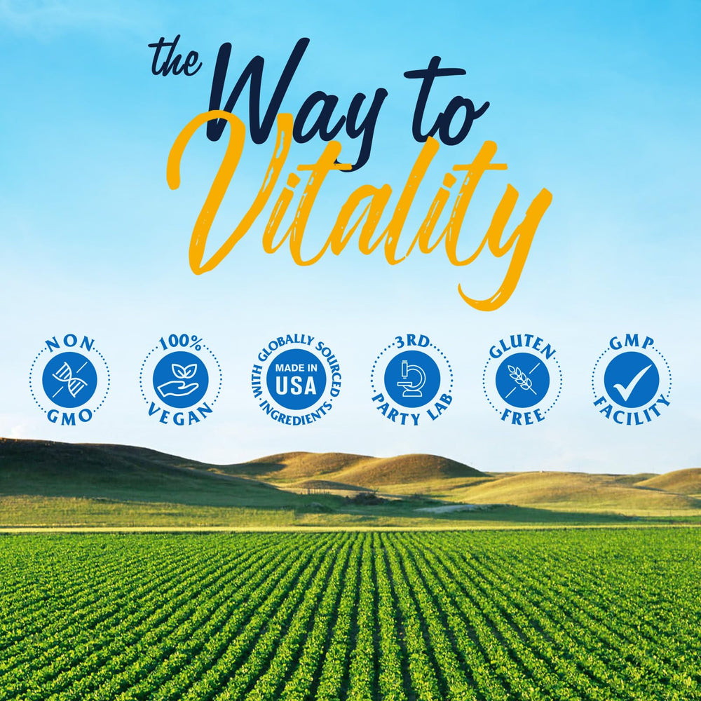 Gut health and digestion concept imagery