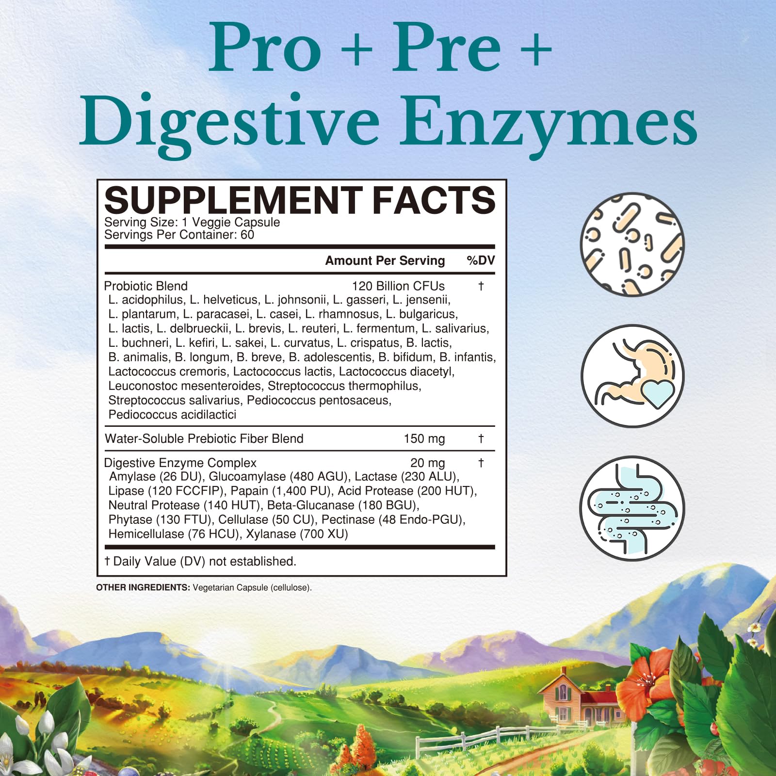 Close-up of delayed-release probiotic capsules