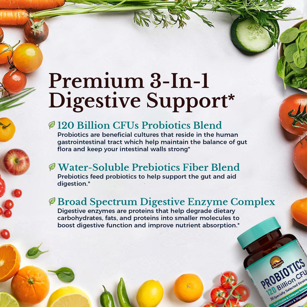 Graphic showing the synergy of probiotics, prebiotics, and digestive enzymes