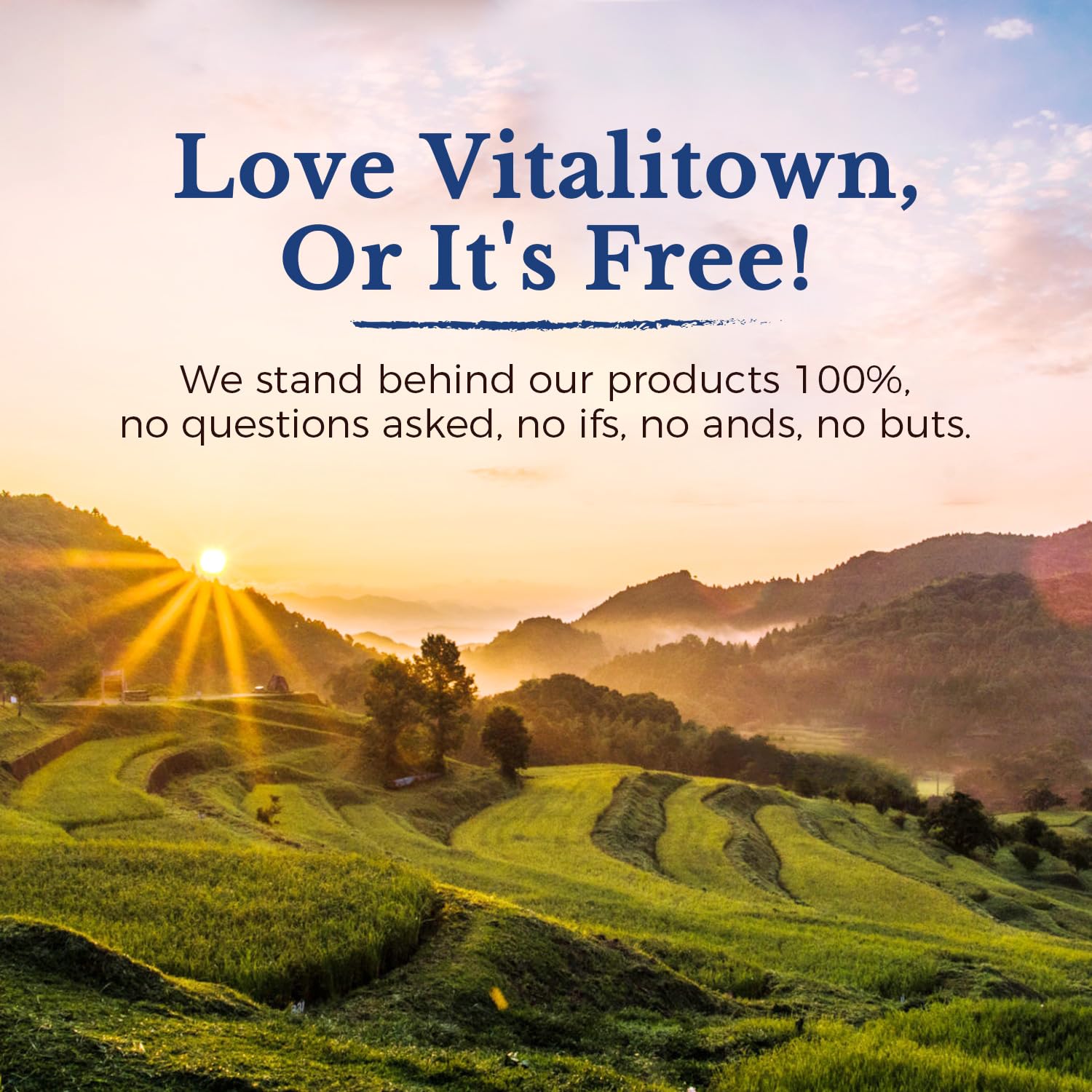 Vitalitown Probiotics branding emphasizing immune support