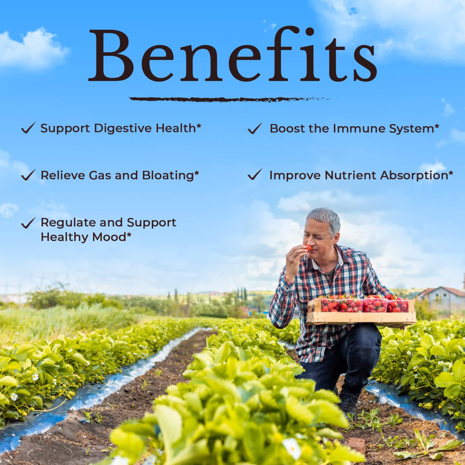 Shelf-stable Vitalitown packaging