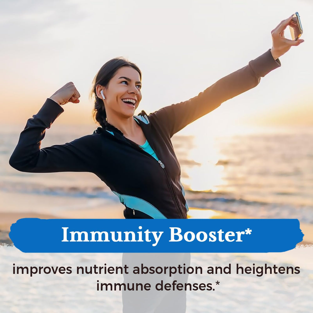 Illustration of Akkermansia survivability vs live strains