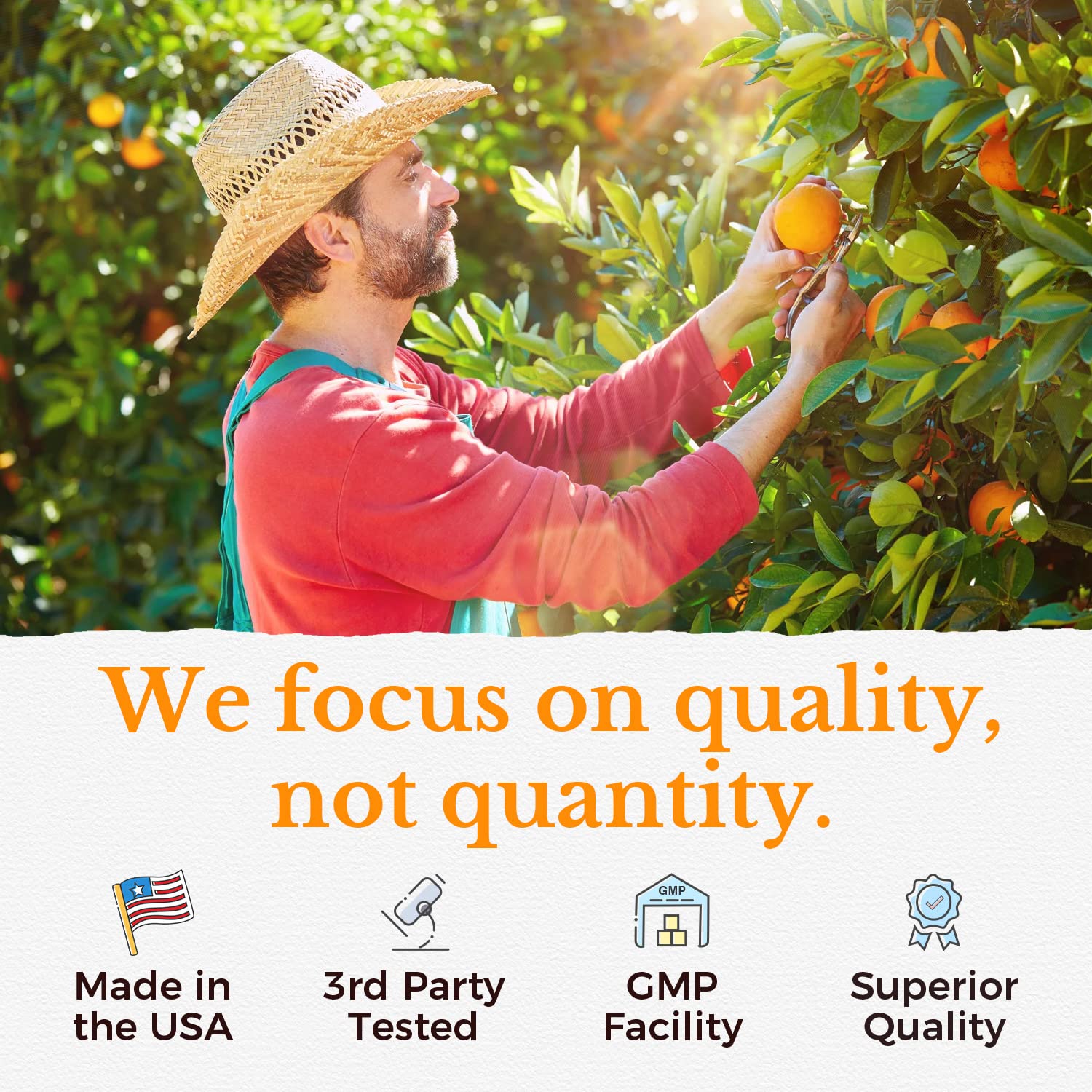 Made in USA label on supplement bottle