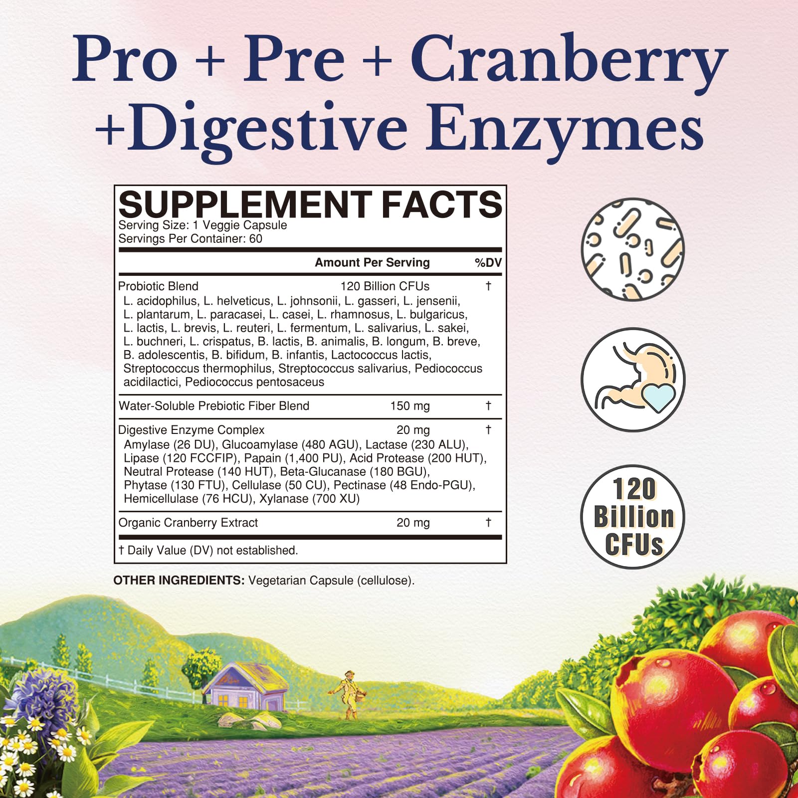 Probiotics with prebiotics and digestive enzymes for women