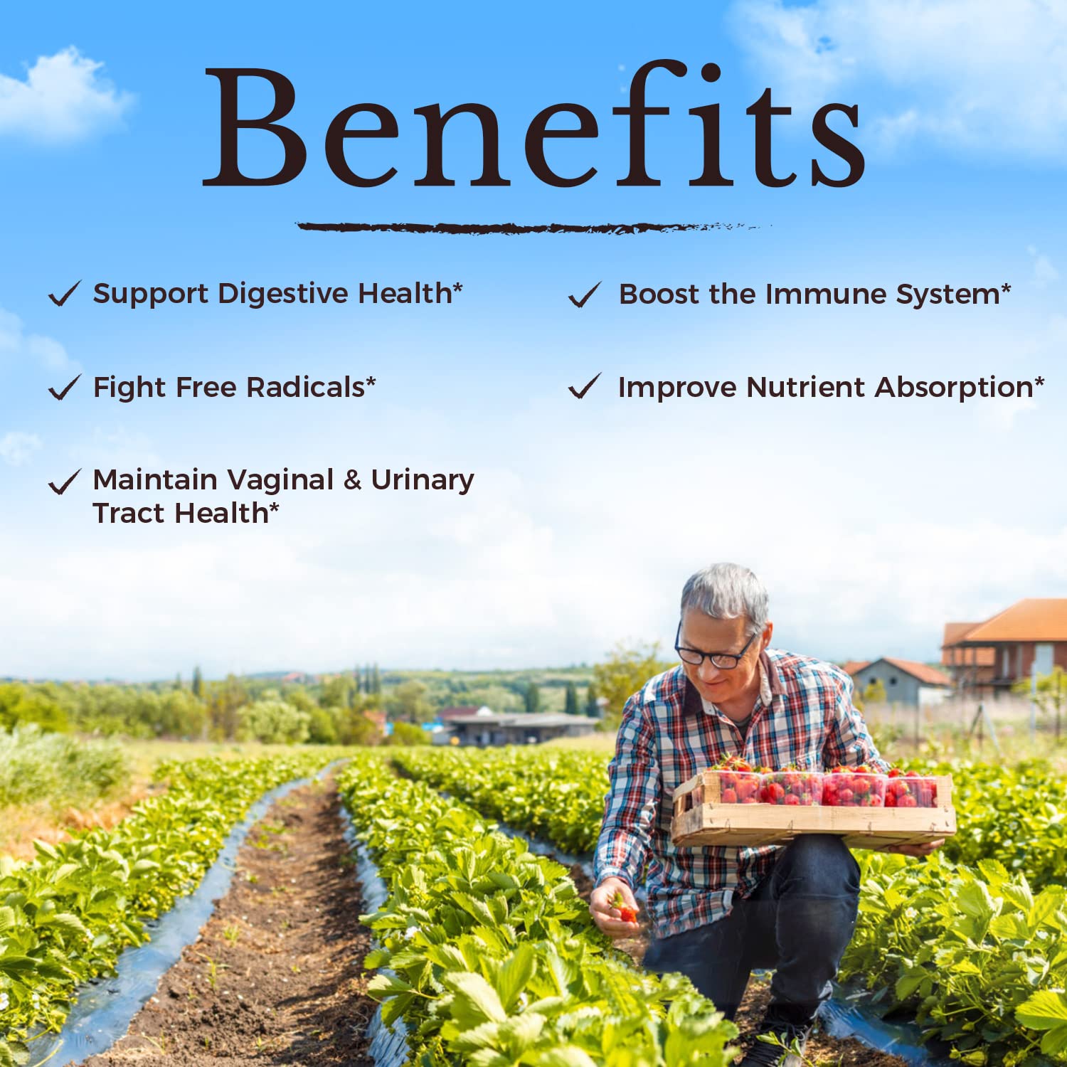 Nutrition-style badge showing 120B CFU and 30 strains