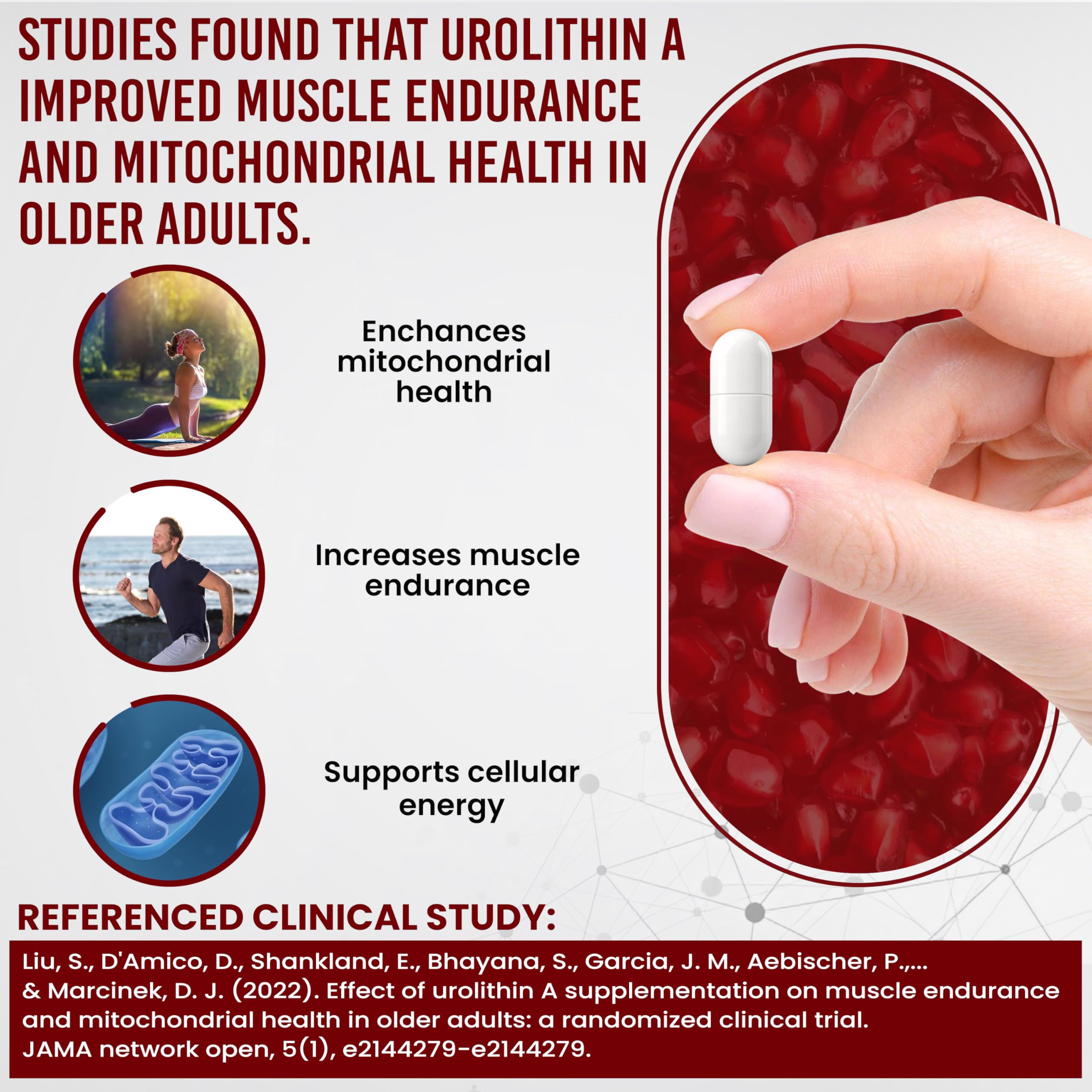 Vitalpha Urolithin A 60-count capsules