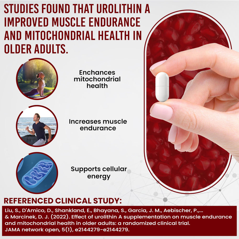 Vitalpha Urolithin A 60-count capsules