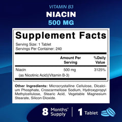Close-up of Niacin 500mg tablet