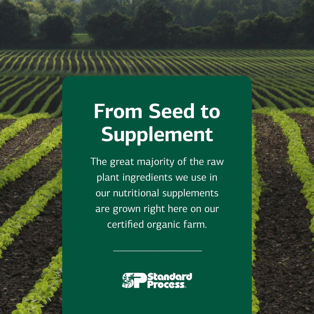 Vitamin A, sunflower lecithin, buckwheat, Spanish moss ingredients in Chlorophyll Complex