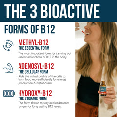 Illustration of 3 BioActive B12 forms: Methylcobalamin, Adenosylcobalamin, Hydroxocobalamin