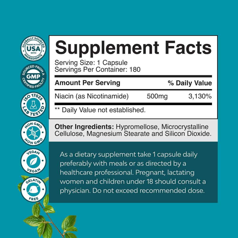 Close-up of 500mg niacinamide capsules