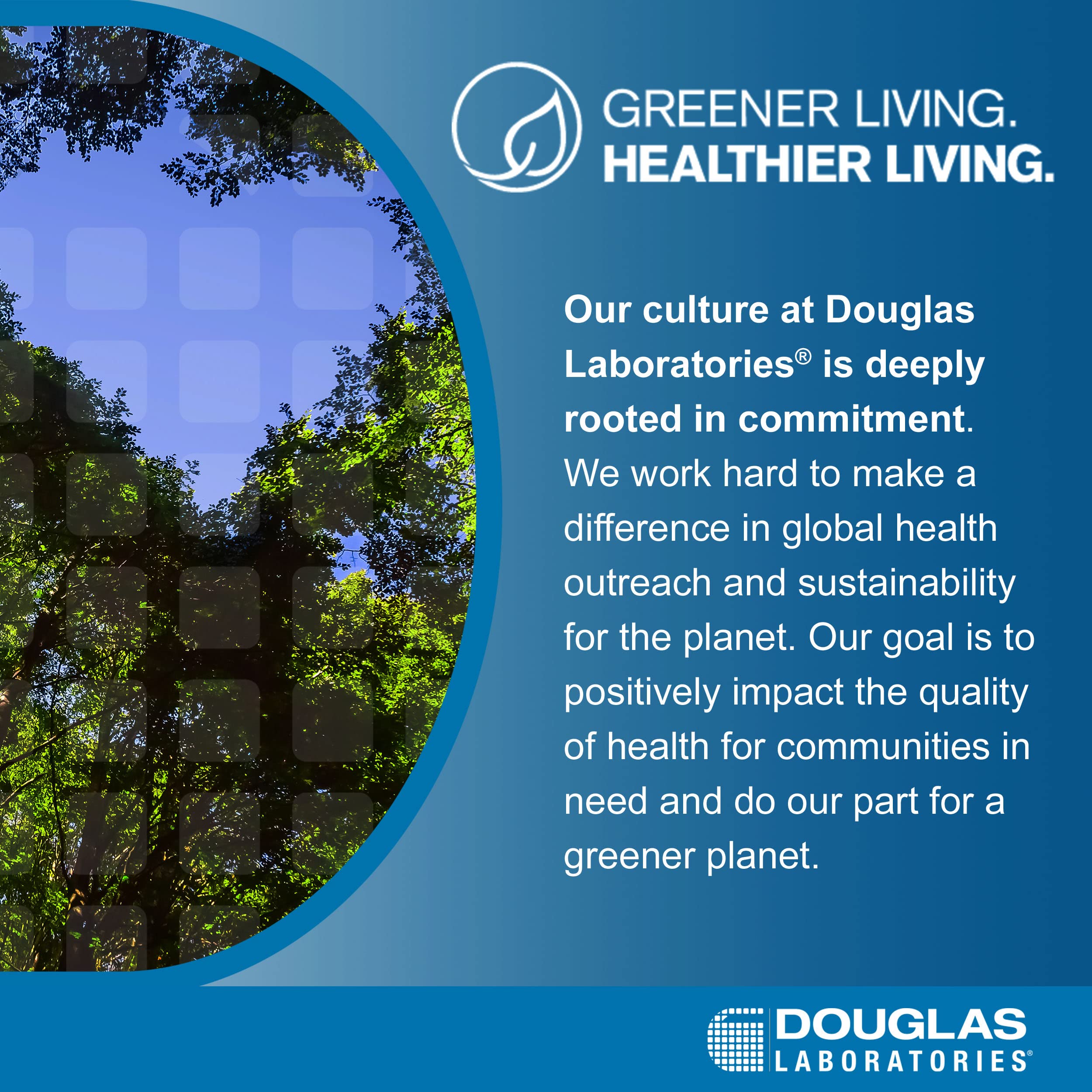 Neurological health support with Vitamin B6 (P5P) product image