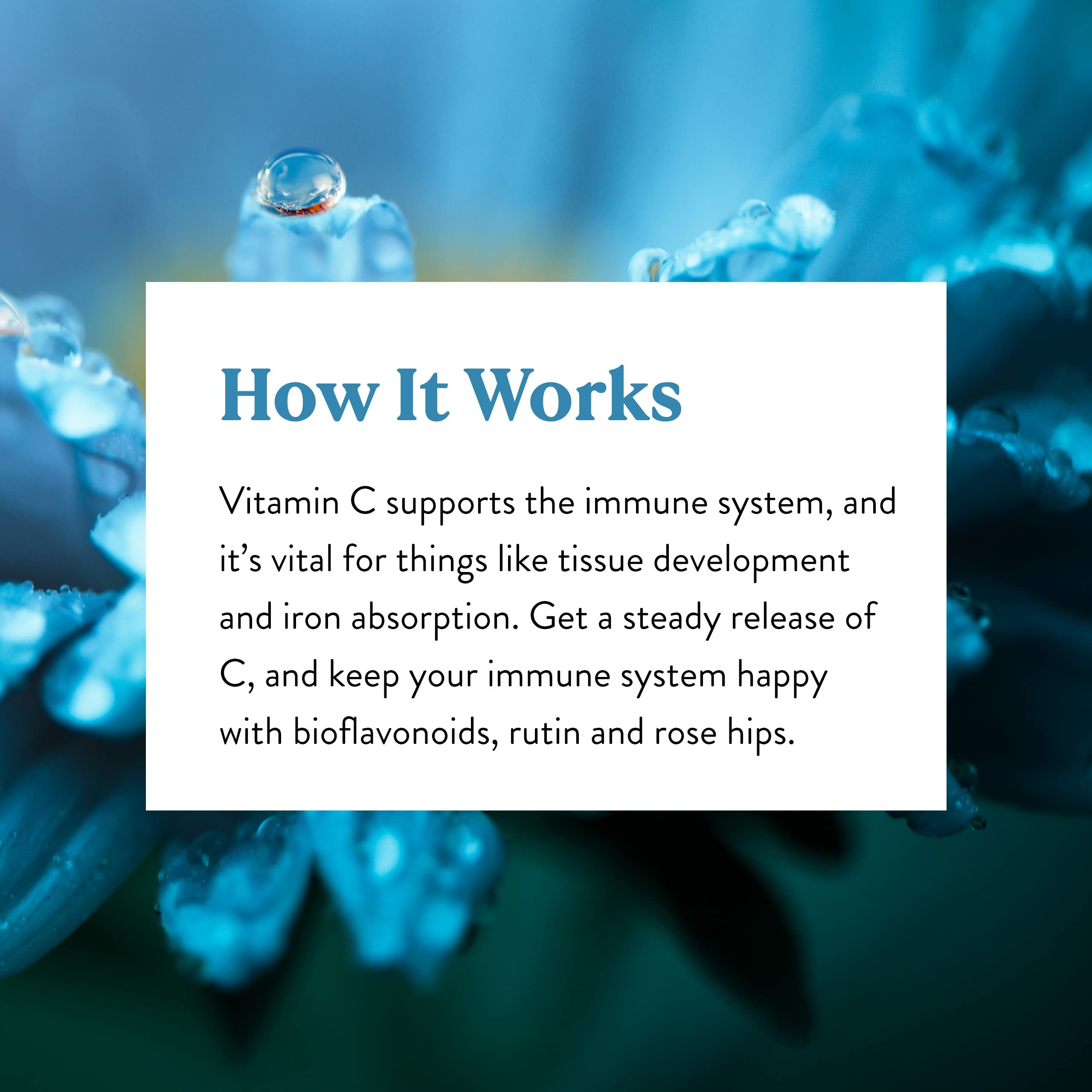 Label displaying 120 tablets per bottle