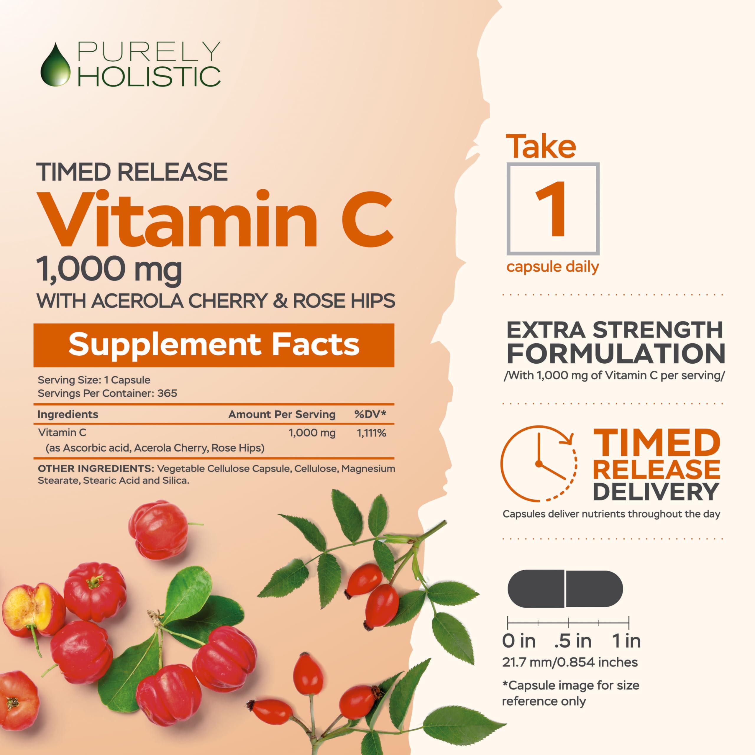 Vitamin C capsules showing timed-release design