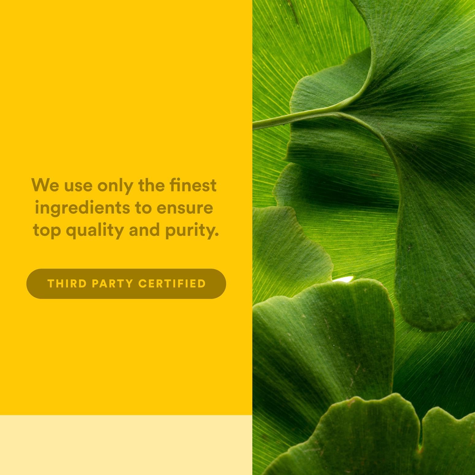 Vitamin D aiding calcium absorption