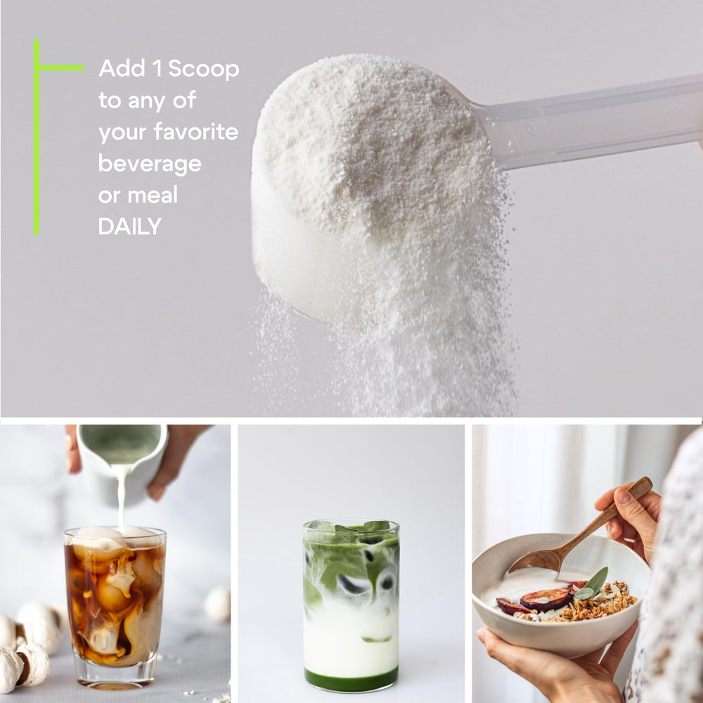 Illustration of collagen types I, II, III, V, X, IX, XI