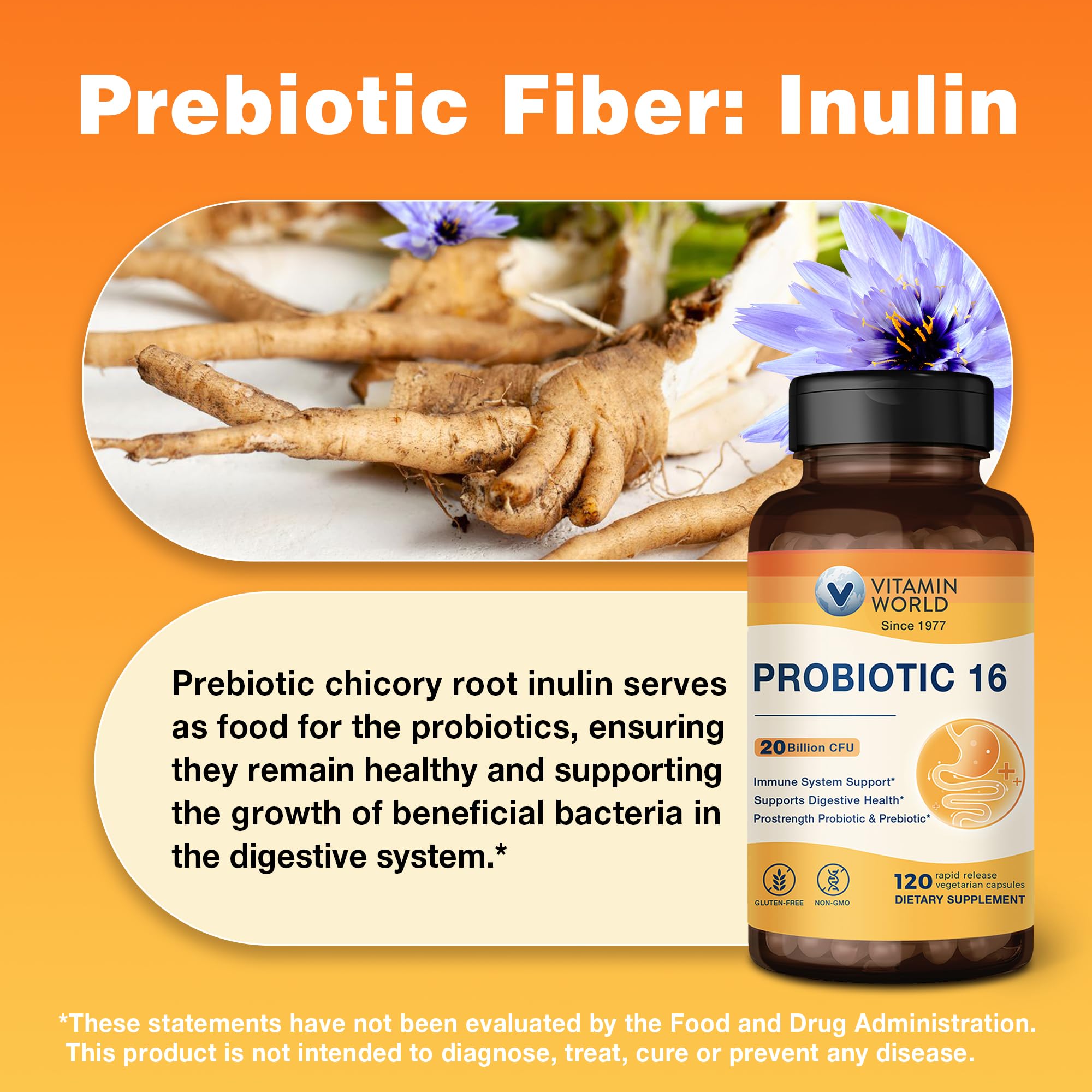 Front view of Vitamin World Probiotic 16 bottle with 120 veggie capsules
