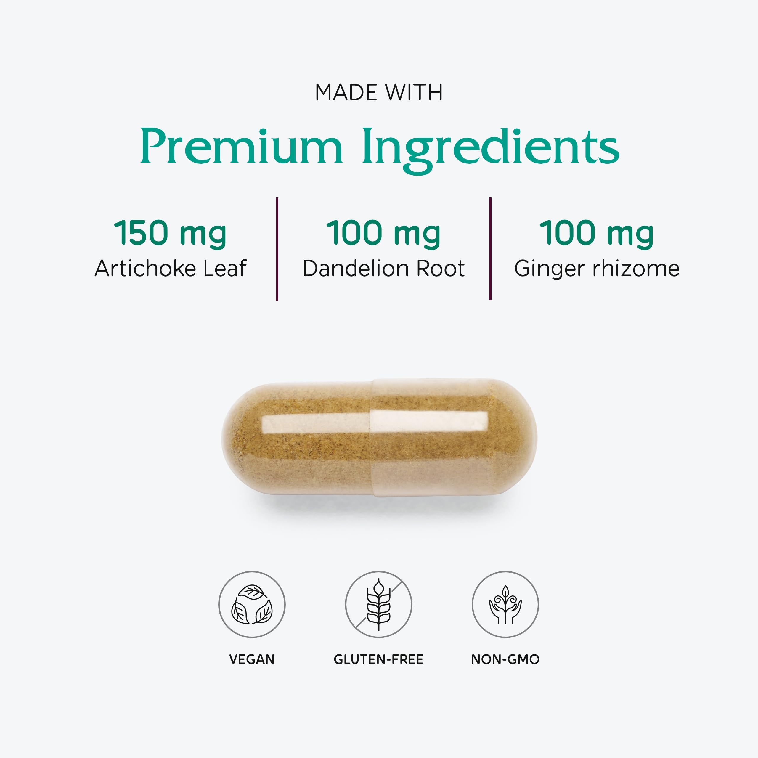 Graphic representation of digestion support from Bitters Extra