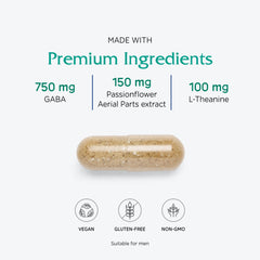GABA, B6 and L-Theanine calming support ingredients visual