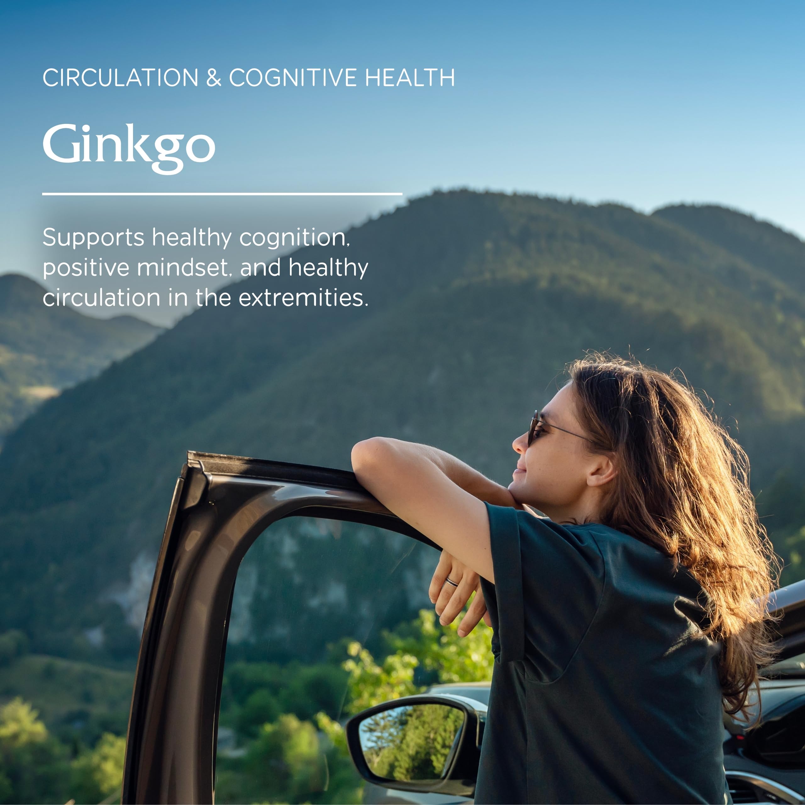 Ginkgo leaves and extract illustration