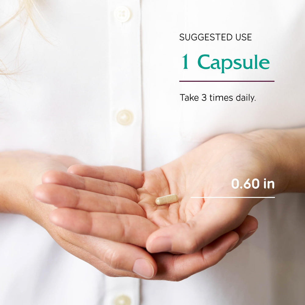 Graphic representing brain health and cognition