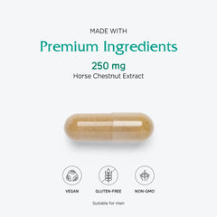 Vegetarian and vegan friendly icon with Horse Chestnut product