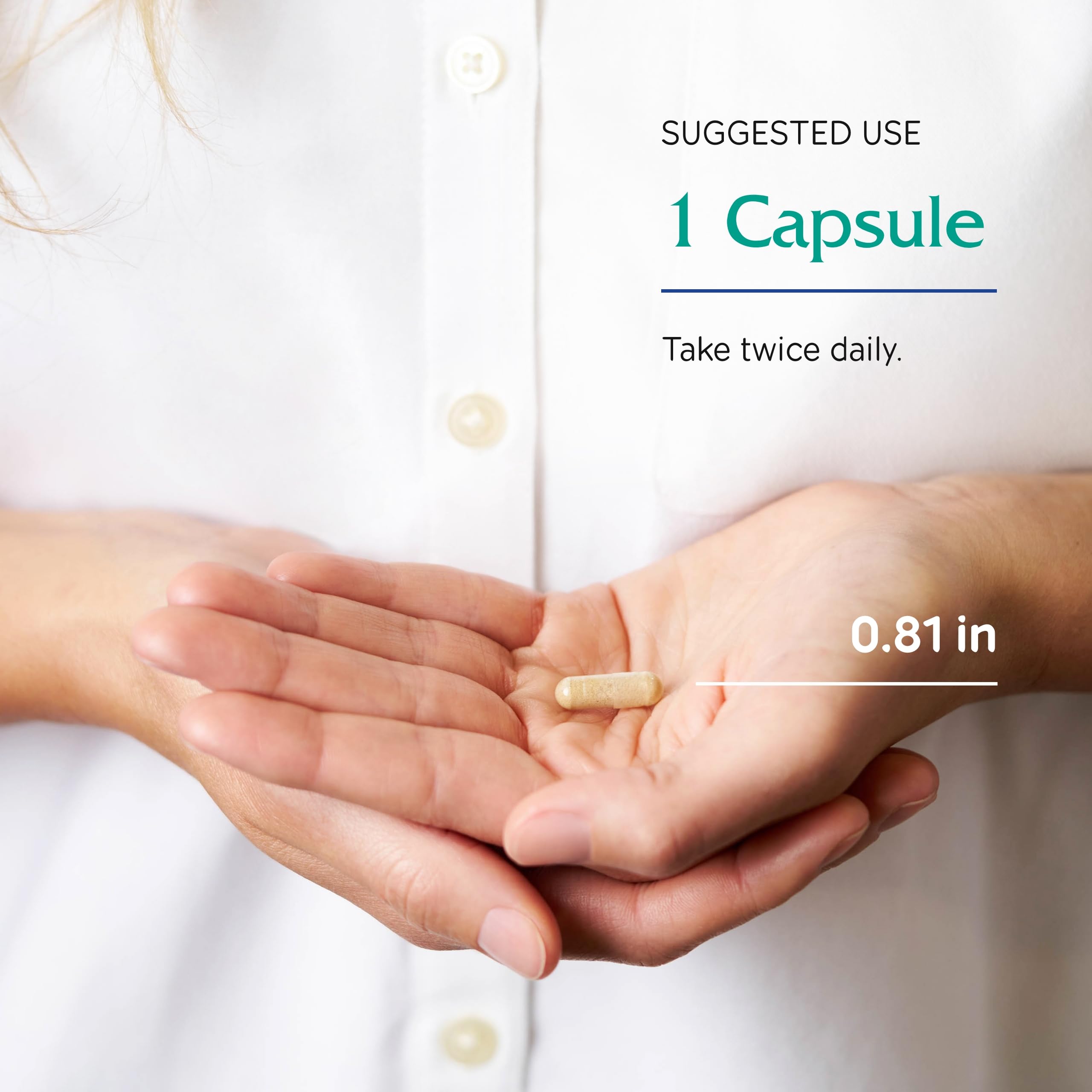 Diagram illustrating vein and capillary support