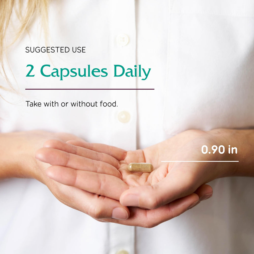 Chaste tree berry illustration and supplement context