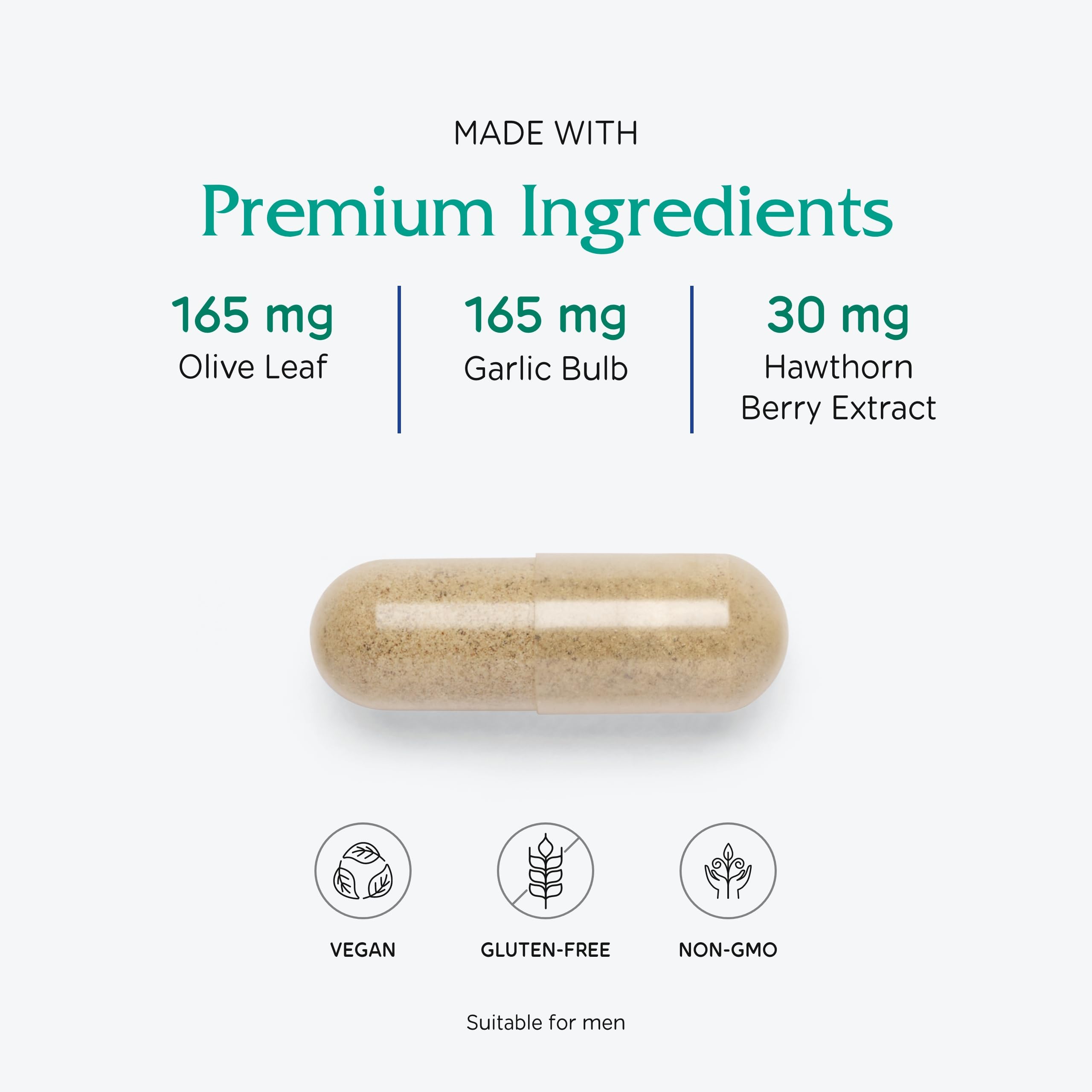 Terminalia arjuna bark illustration