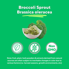 Close-up texture of broccoli sprout powder