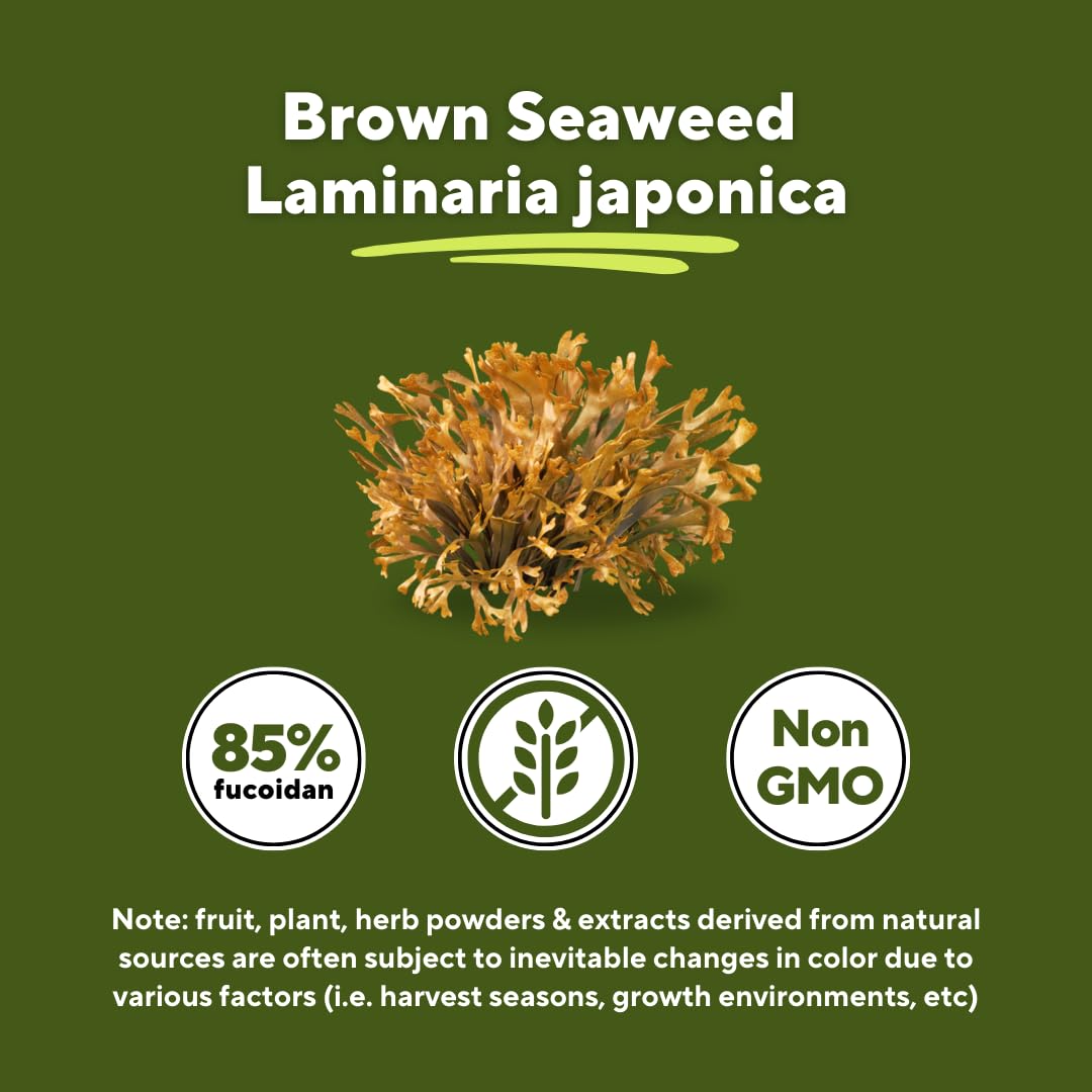 85 percent fucoidan purity from brown seaweed
