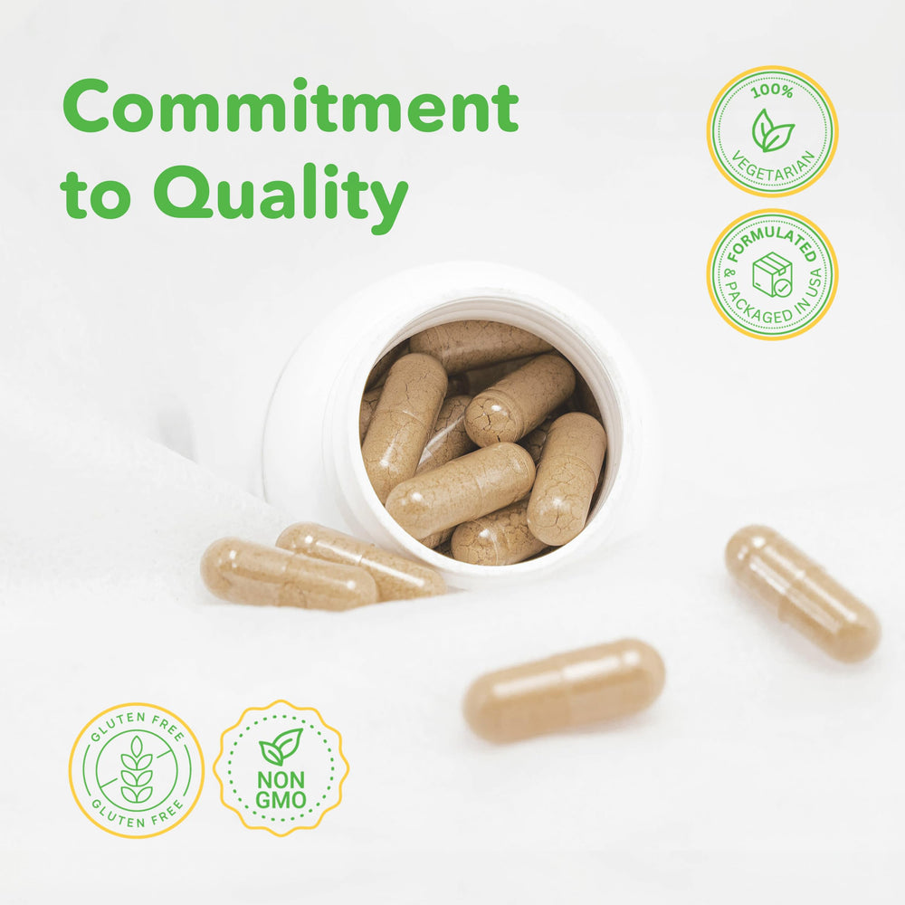 Gluten-free and allergen-free lymphatic health supplement