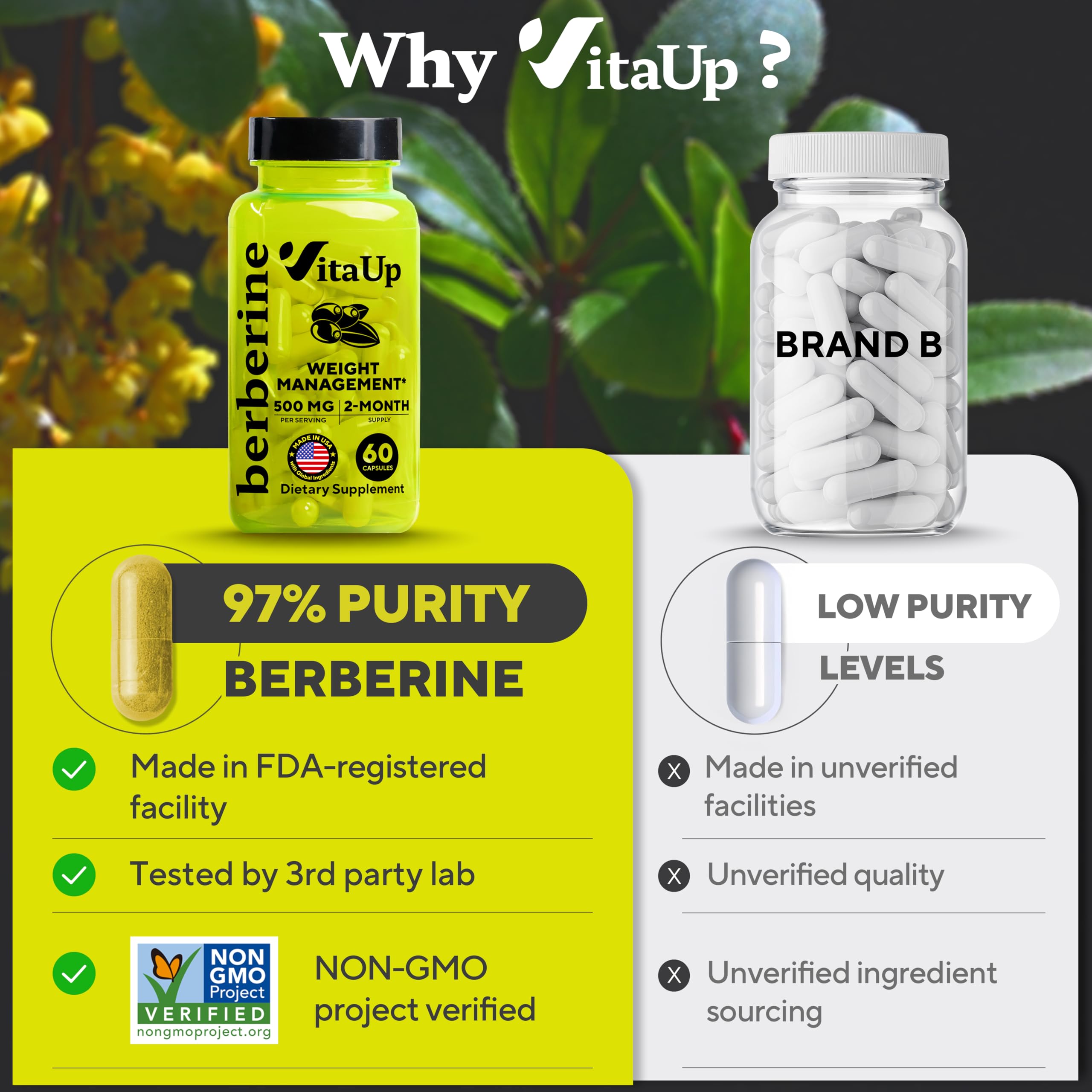 Open VitaUp Berberine 500mg bottle displays easy-to-swallow capsules for daily use