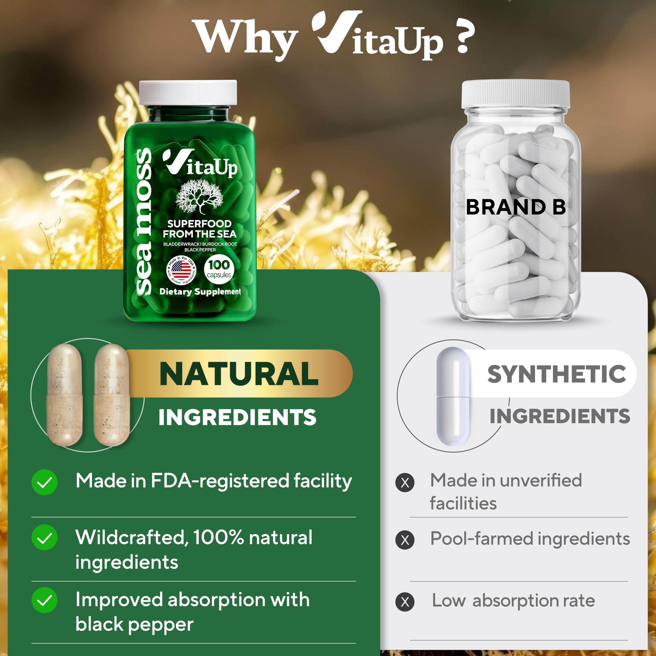 Burdock root and bladderwrack alongside sea moss capsules