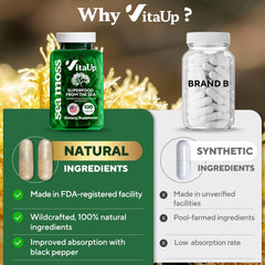 Burdock root and bladderwrack alongside sea moss capsules