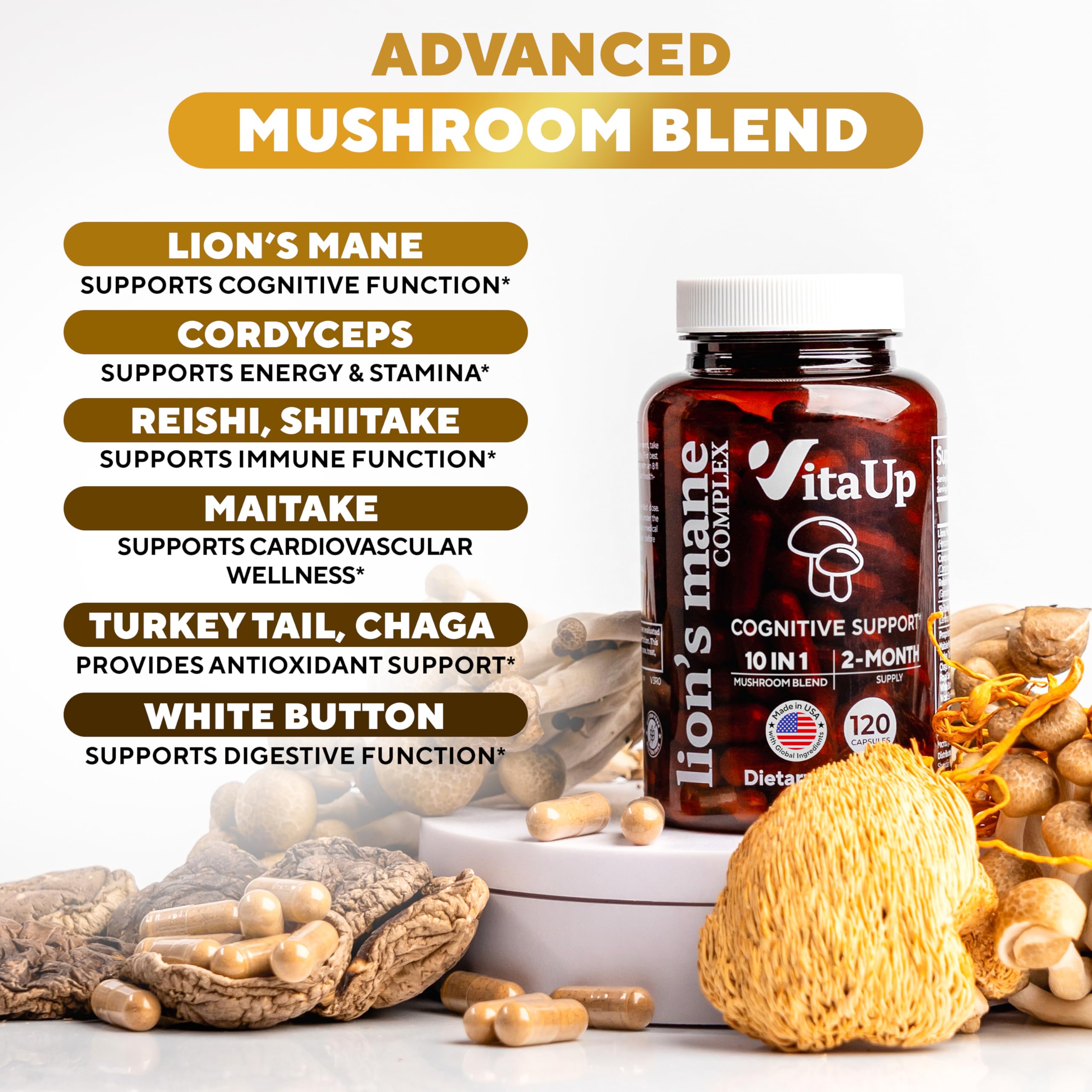 Close-up of the mushroom blend for VitaUp supplement