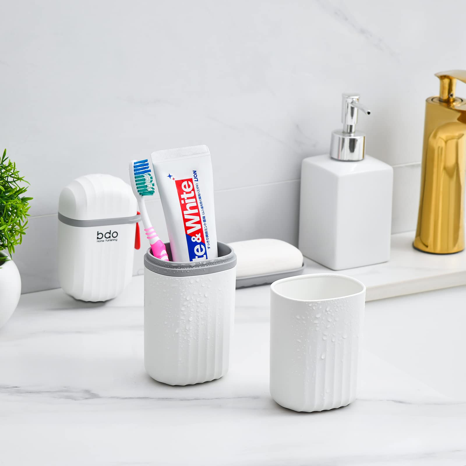 Leakproof dish tray included with case