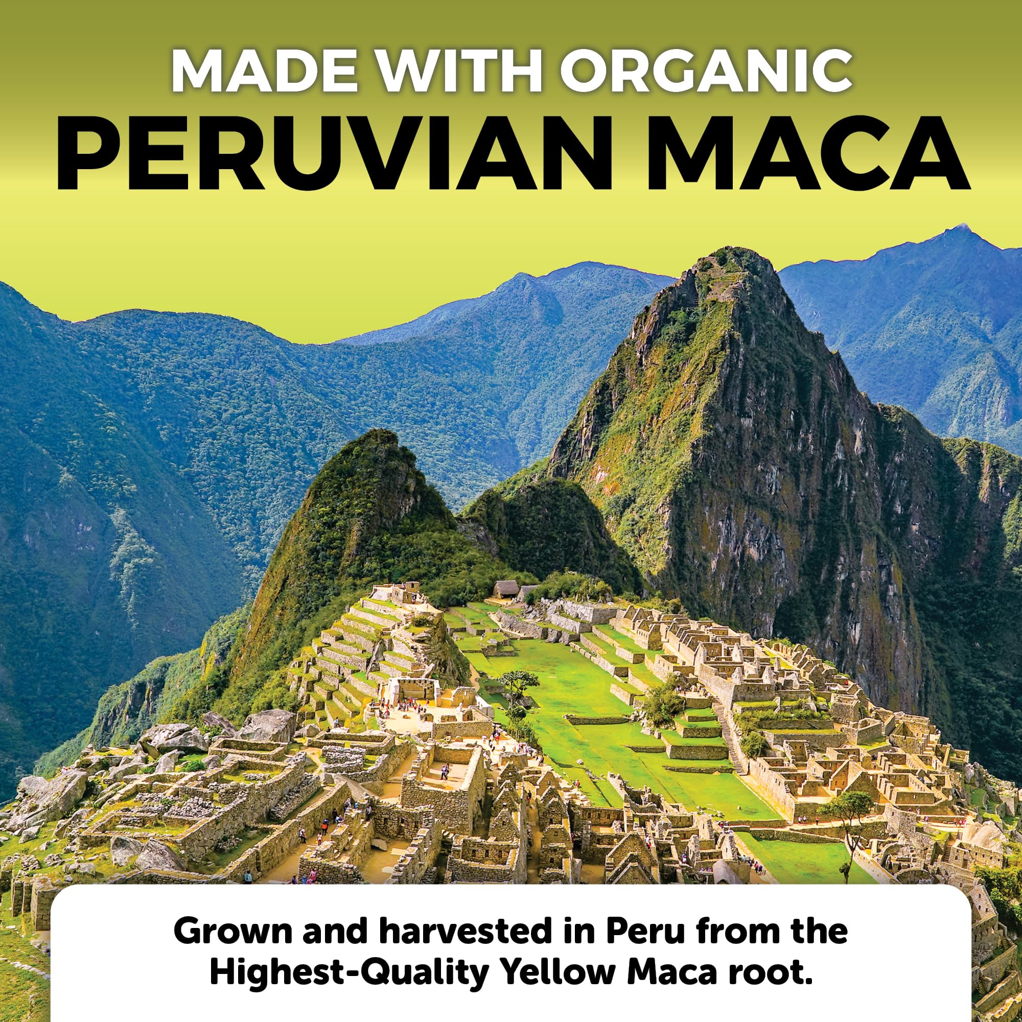 Viva Naturals third-party tested seal image communicates quality and safety