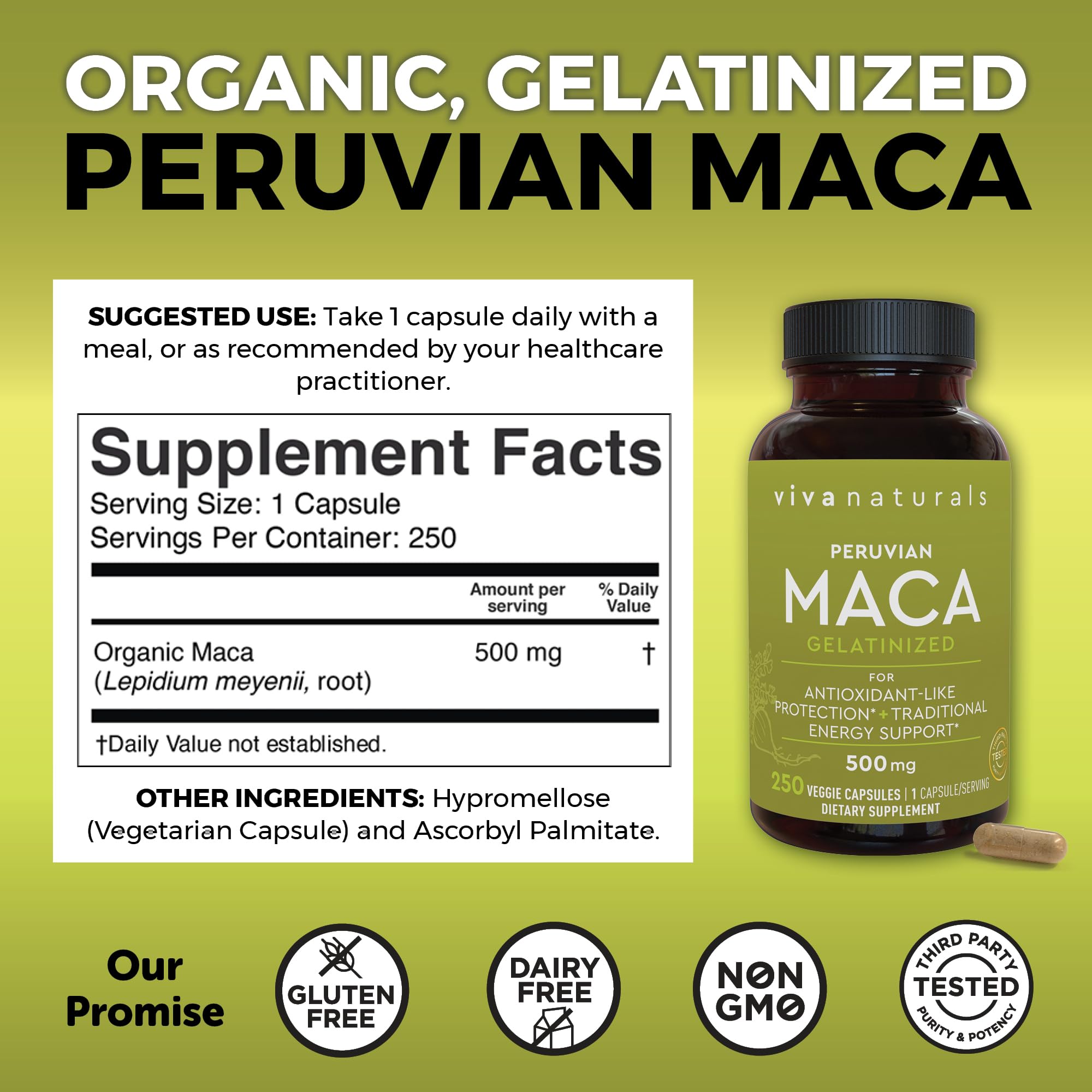 Viva Naturals yellow maca root capsules image highlights gelatinized powder for gentler digestion