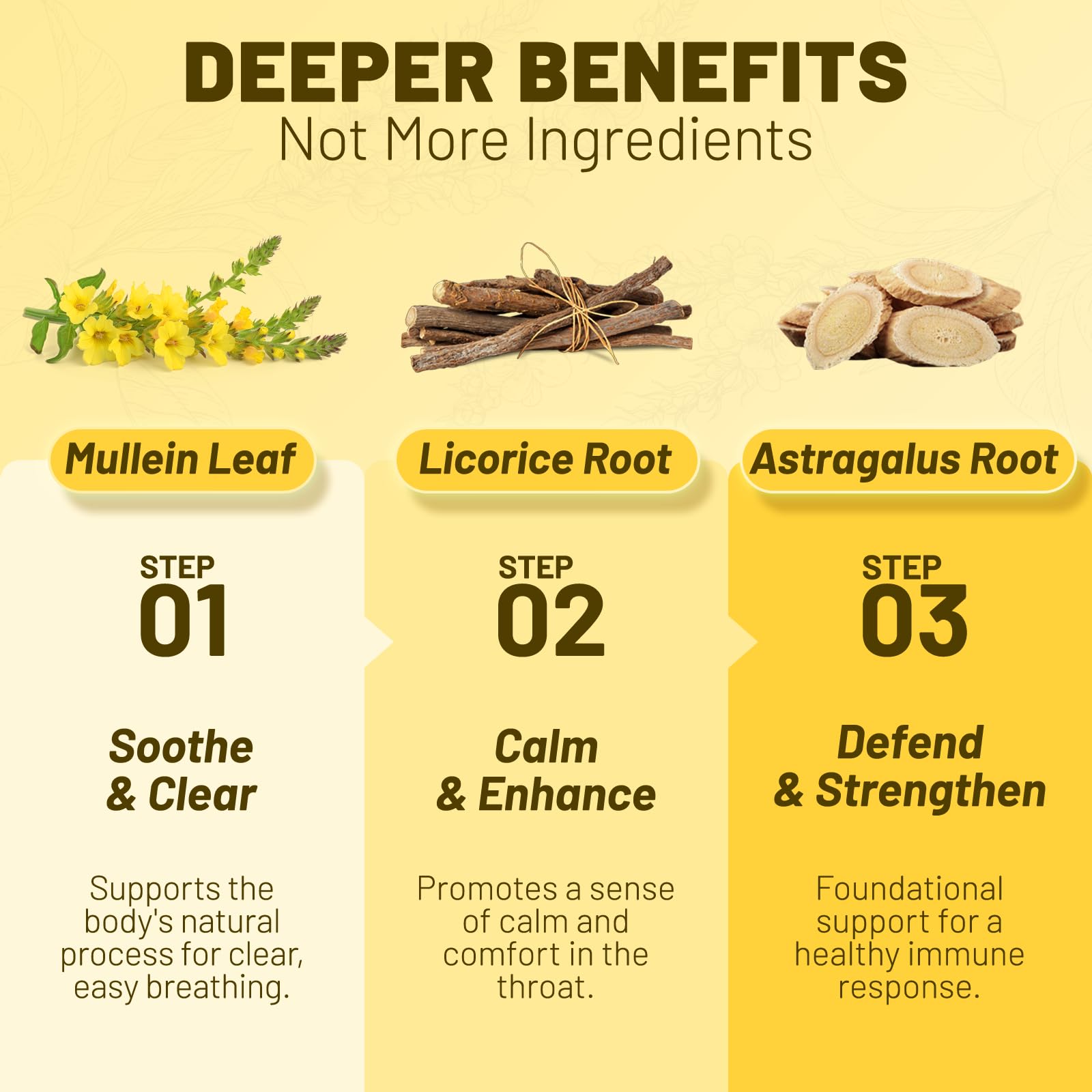 Close-up of Mullein leaves, licorice root, and astragalus root ingredients