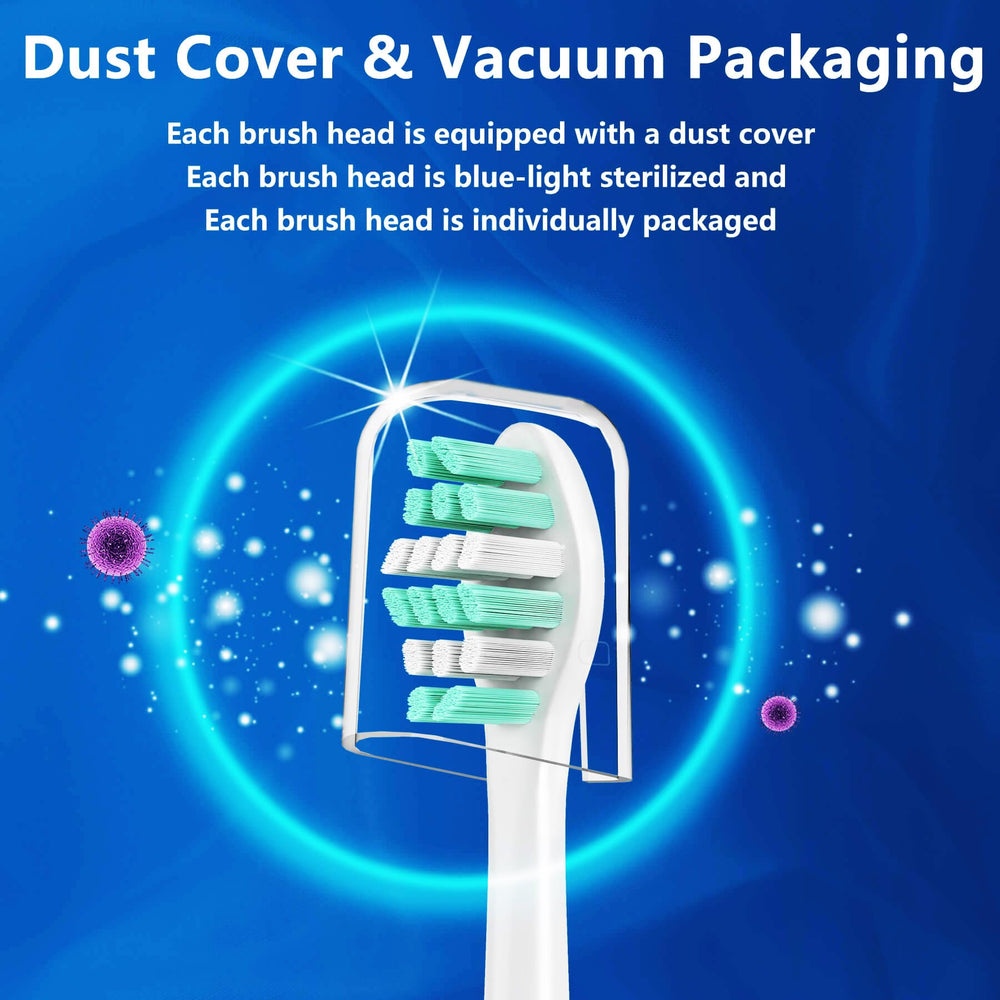 Bristles design of Vivena head showing fit and brush head shape