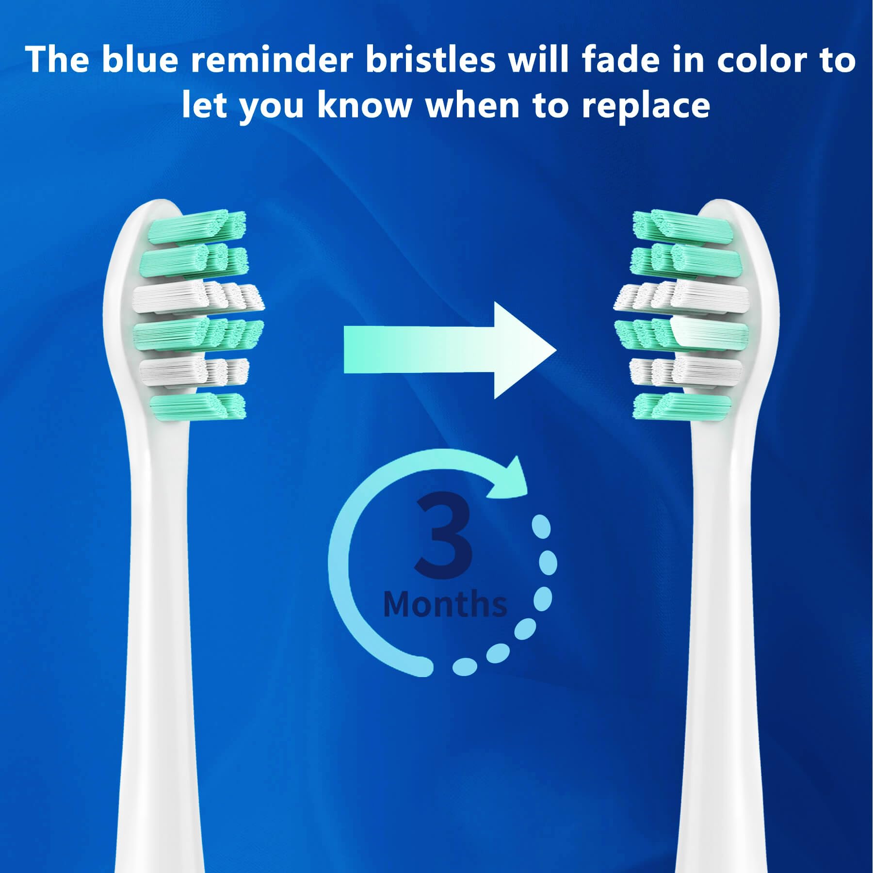 Gum protection and dense bristle design in Vivena replacement heads