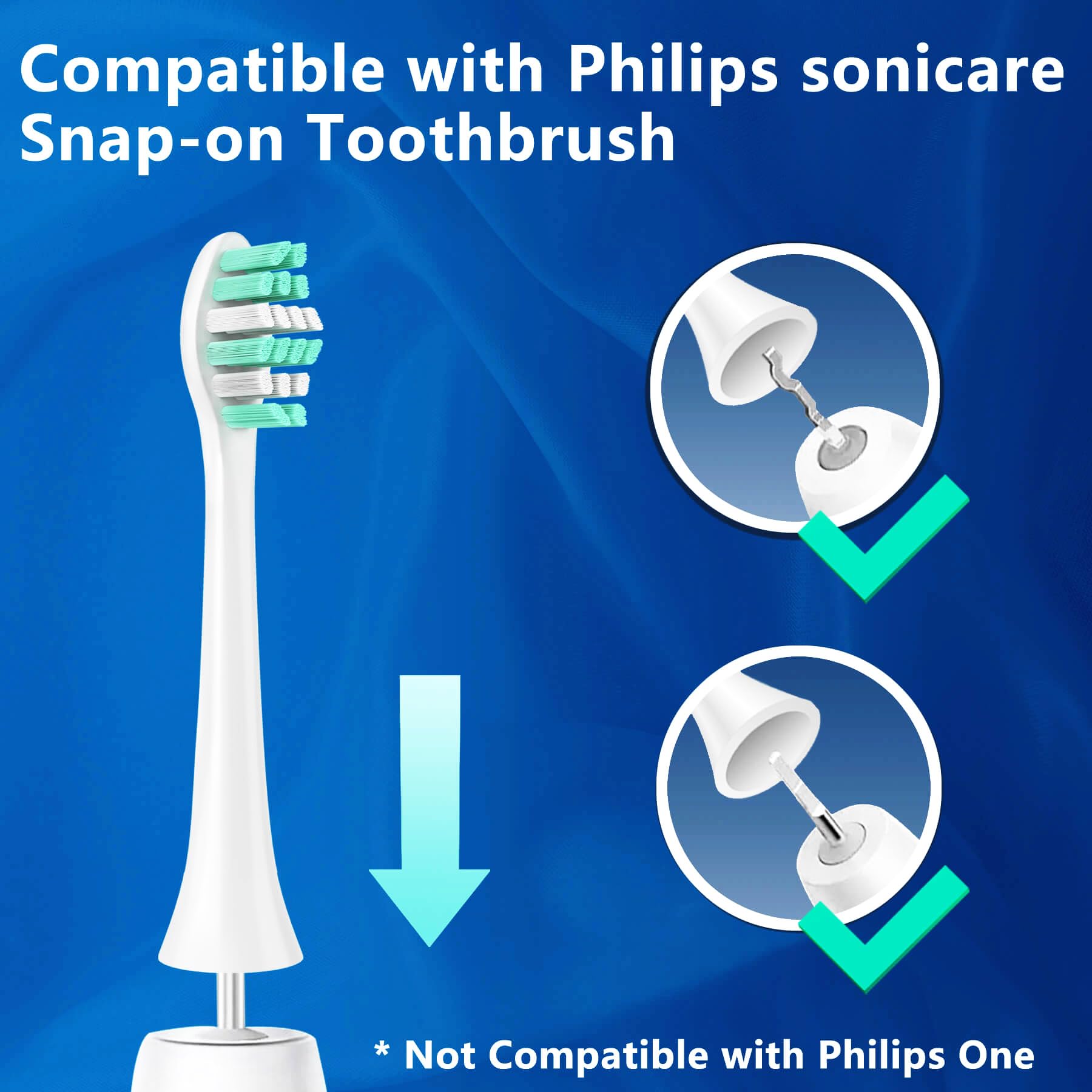 Close-up of Vivena replacement head for Philips Sonicare C2 compatibility